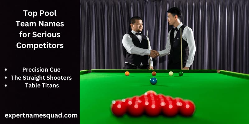 Top Pool Team Names for Serious Competitors